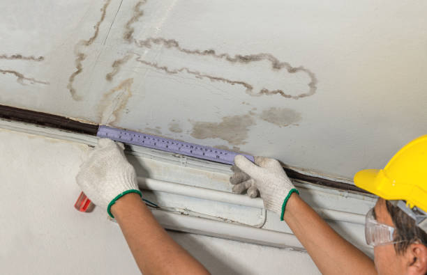 Reliable Water Damage Repair contractor in Pigeon Forge, TN by Hirex Water Damage